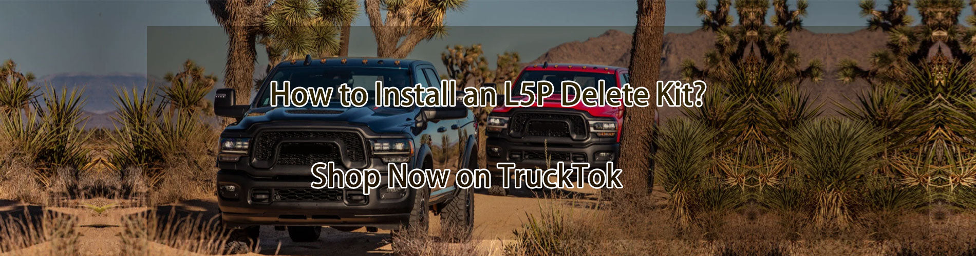 How to Install an L5P Delete Kit?