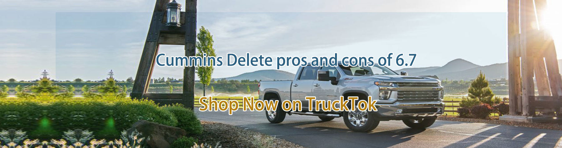 Cummins Delete pros and cons of 6.7