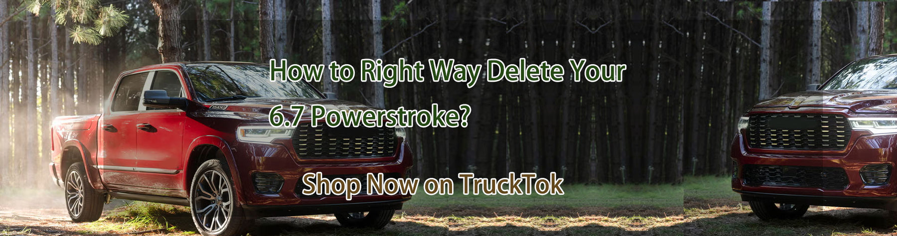 How to Right Way Delete Your 6.7 Powerstroke?