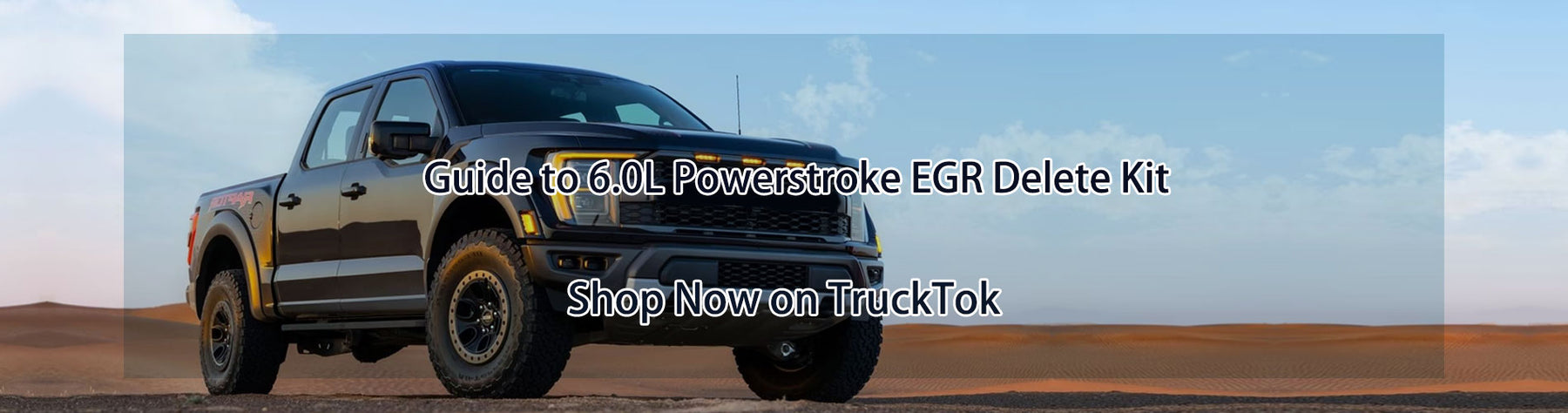 Guide to 6.0L Powerstroke EGR Delete Kit