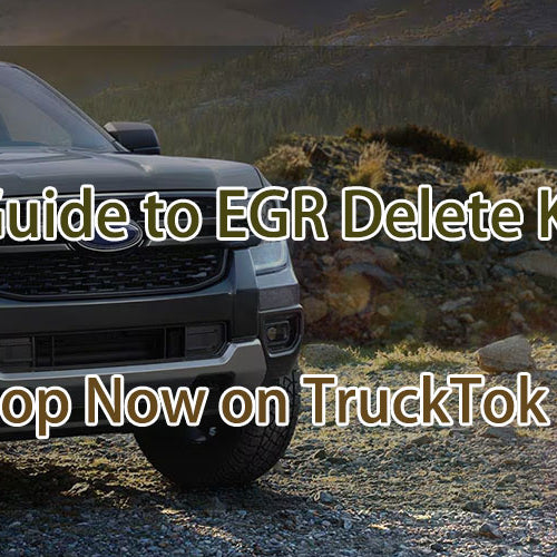 The Guide to EGR Delete Kits