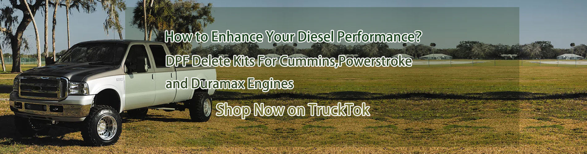 How to Enhance Your Diesel Performance？